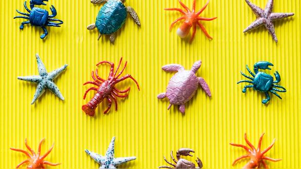 Researchers explain how animals evolved from single cells to a kingdom so diverse