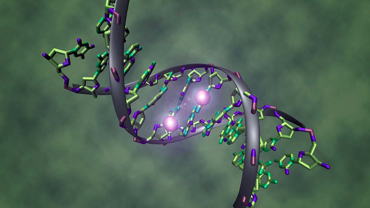 Using gene editing to create virus-resistant plants could backfire say researchers Using gene editing to create virus-resistant plants could backfire say researchers