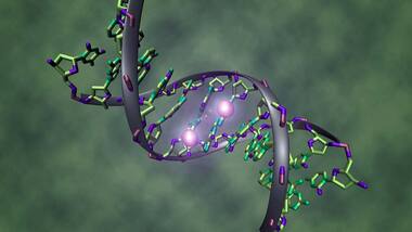 Using gene editing to create virus-resistant plants could backfire say researchers