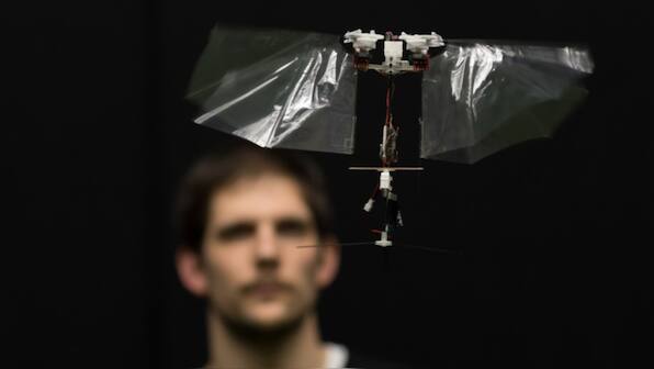 Engineers create robots that fly like insects, possibly advancing drone technology