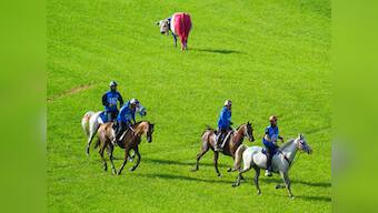 Botched World Equestrian Games endurance event called off after heavy rains in North Carolina create unsafe conditions