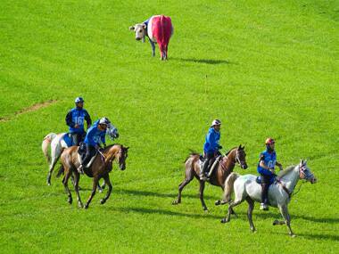 Botched World Equestrian Games endurance event called off after heavy rains in North Carolina create unsafe conditions