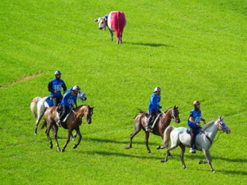 Botched World Equestrian Games endurance event called off after heavy rains in North Carolina create unsafe conditions Botched World Equestrian Games endurance event called off after heavy rains in North Carolina create unsafe conditions