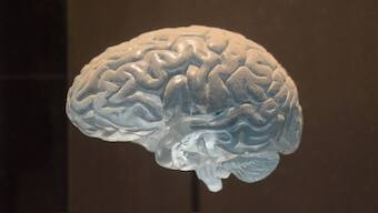 Human brain responds more quickly to aggressive or threatening voices, finds Study