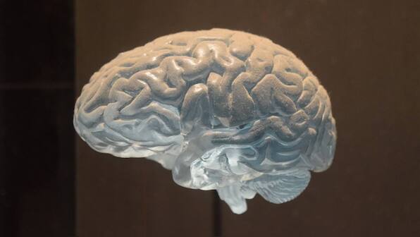 Human brain responds more quickly to aggressive or threatening voices, finds Study