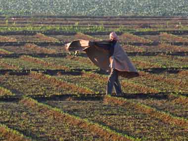 Global warming likely to reduce crop production by over 15% in 2020; govt report warns of highest losses in UP, Rajasthan, Bengal Global warming likely to reduce crop production by over 15% in 2020; govt report warns of highest losses in UP, Rajasthan, Bengal