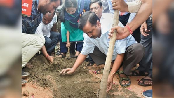 Arvind Kejriwal launches drive to plant 5 lakh saplings across Delhi, says it will help fight air pollution