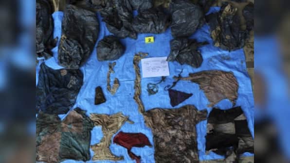 Mass grave uncovered in Mexico: 166 human skulls found in clandestine burial pits, possibly remains of cartel wars