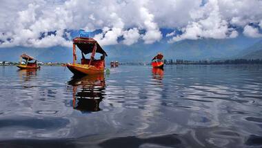 Dal Lake in Kashmir harbours bacteria that can degrade pesticides, study finds