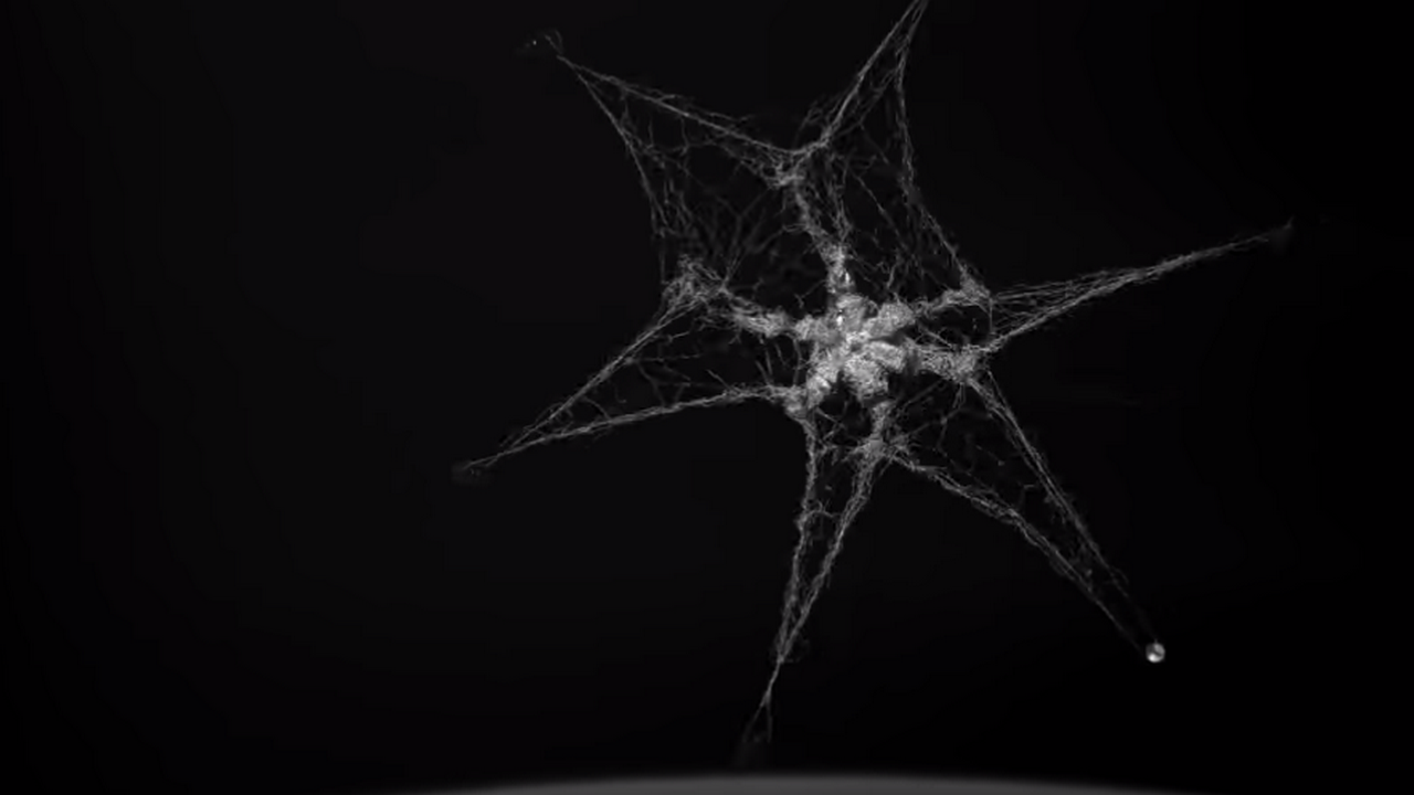 Tossed net successfully captures space debris in an orbit-clean up mission Tossed net successfully captures space debris in an orbit-clean up mission