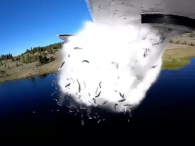Oh fish! Utah Division of Wildlife Resources uses a bizarre technique to restock its lakes Oh fish! Utah Division of Wildlife Resources uses a bizarre technique to restock its lakes