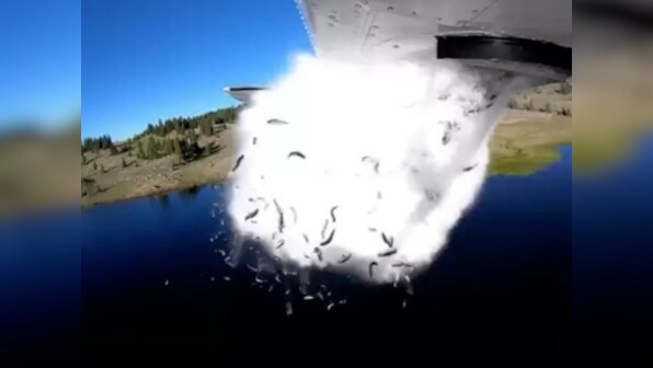 Oh fish! Utah Division of Wildlife Resources uses a bizarre technique to restock its lakes