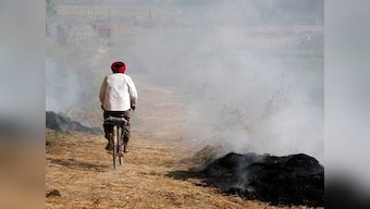 Stubble-burning continues in Amritsar despite ban; farmers claim lack of alternatives forcing them to set fire to crop residue