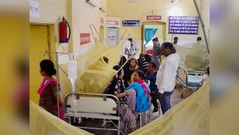 Nearly 70 percent dengue cases reported in Delhi during September; 236 of 343 instances of vector-borne disease in one month
