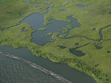 Rock dams are seen protecting the wetlands in Louisiana. Reuters