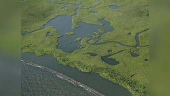 World's wetlands disappearing three times faster than forests, says Ramsar Convention report; experts say insight is 'red flag'