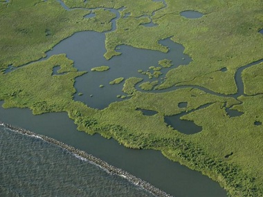World's wetlands disappearing three times faster than forests, says Ramsar Convention report; experts say insight is 'red flag' World's wetlands disappearing three times faster than forests, says Ramsar Convention report; experts say insight is 'red flag'