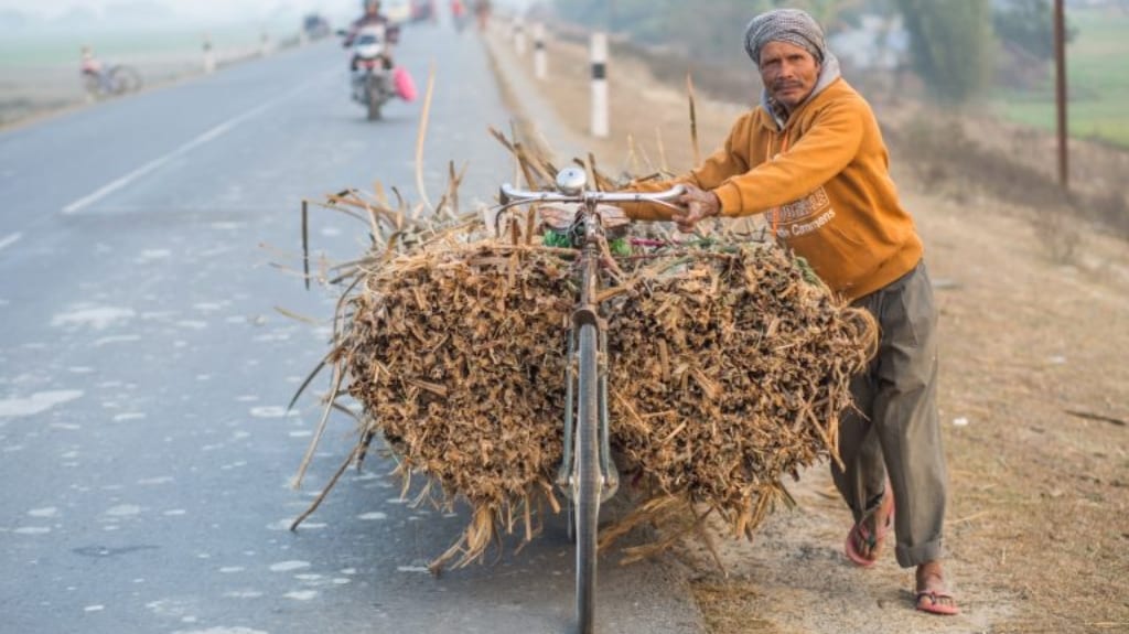 Image by Nabin Baral