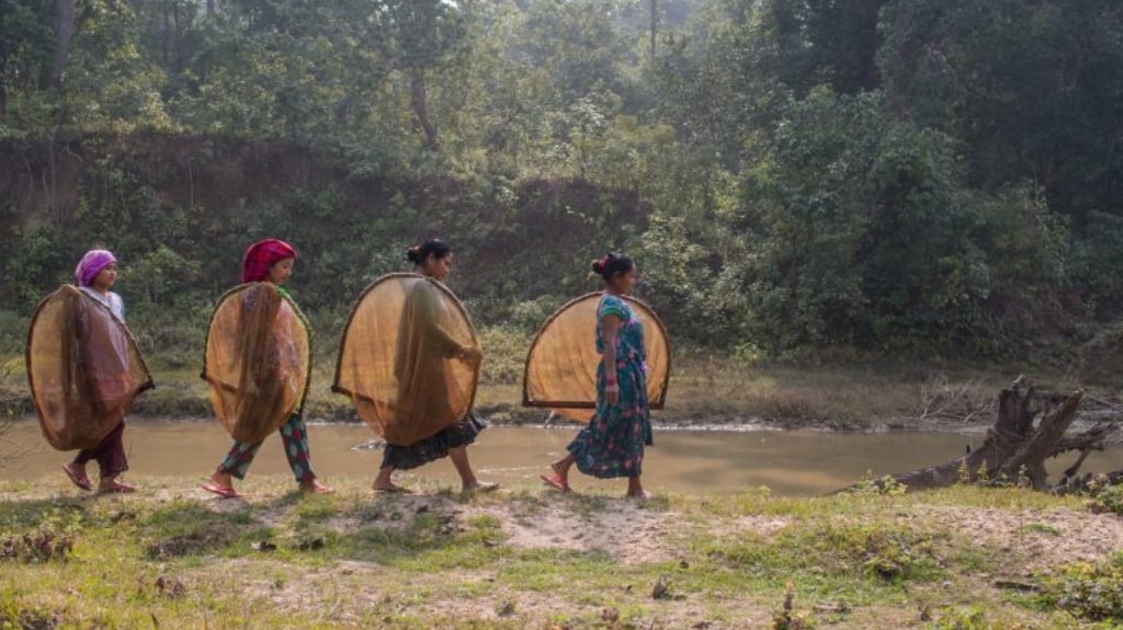 Image by Nabin Baral