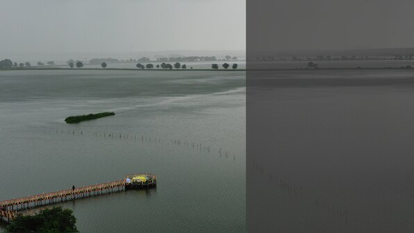Kolkata wetlands: Real estate chokes a unique ecosystem