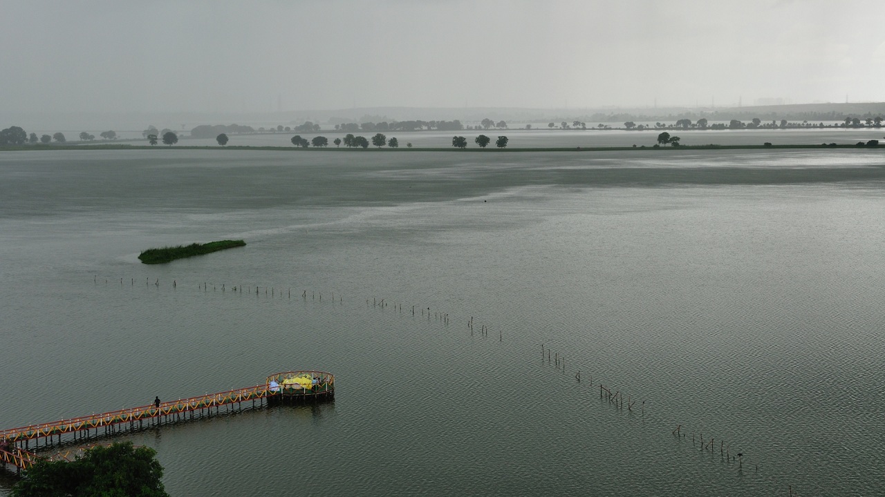 Wetlands receding 'three times faster than forests', experts call for urgent action Wetlands receding 'three times faster than forests', experts call for urgent action