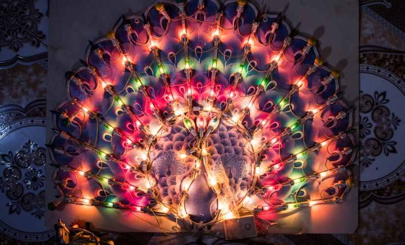 After dismantling several LEDs, Rajendra made this peacock design
