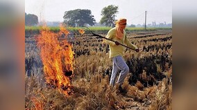 Farmers in Haryana's Karnal district burn stubble despite prohibitions, say they are 'helpless with no alternative'