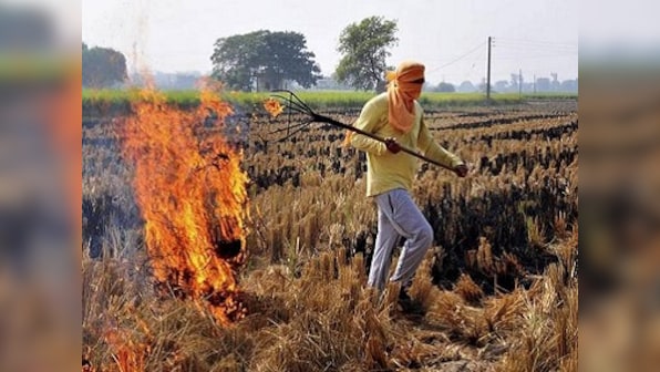 Farmers in Haryana's Karnal district burn stubble despite prohibitions, say they are 'helpless with no alternative'