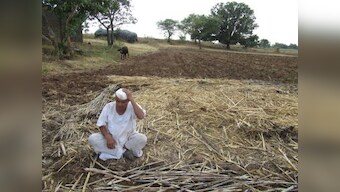 Maharashtra grapples with acute agrarian distress: Kharif crops have dried up, farmers may opt out of rabi