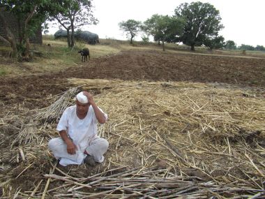 Maharashtra grapples with acute agrarian distress: Kharif crops have dried up, farmers may opt out of rabi Maharashtra grapples with acute agrarian distress: Kharif crops have dried up, farmers may opt out of rabi