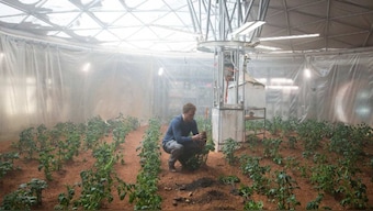 A symbiotic partnership between plant and fungus could offer a farming fix in space
