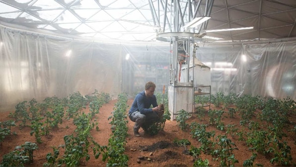 A symbiotic partnership between plant and fungus could offer a farming fix in space
