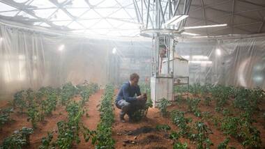 A symbiotic partnership between plant and fungus could offer a farming fix in space