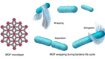 This 'spacesuit' for bacteria could keep them and humans alive in space someday