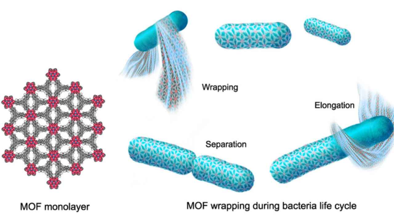 This 'spacesuit' for bacteria could keep them and humans alive in space someday This 'spacesuit' for bacteria could keep them and humans alive in space someday