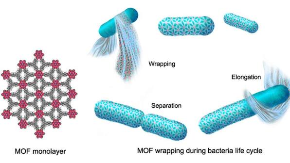 This 'spacesuit' for bacteria could keep them and humans alive in space someday