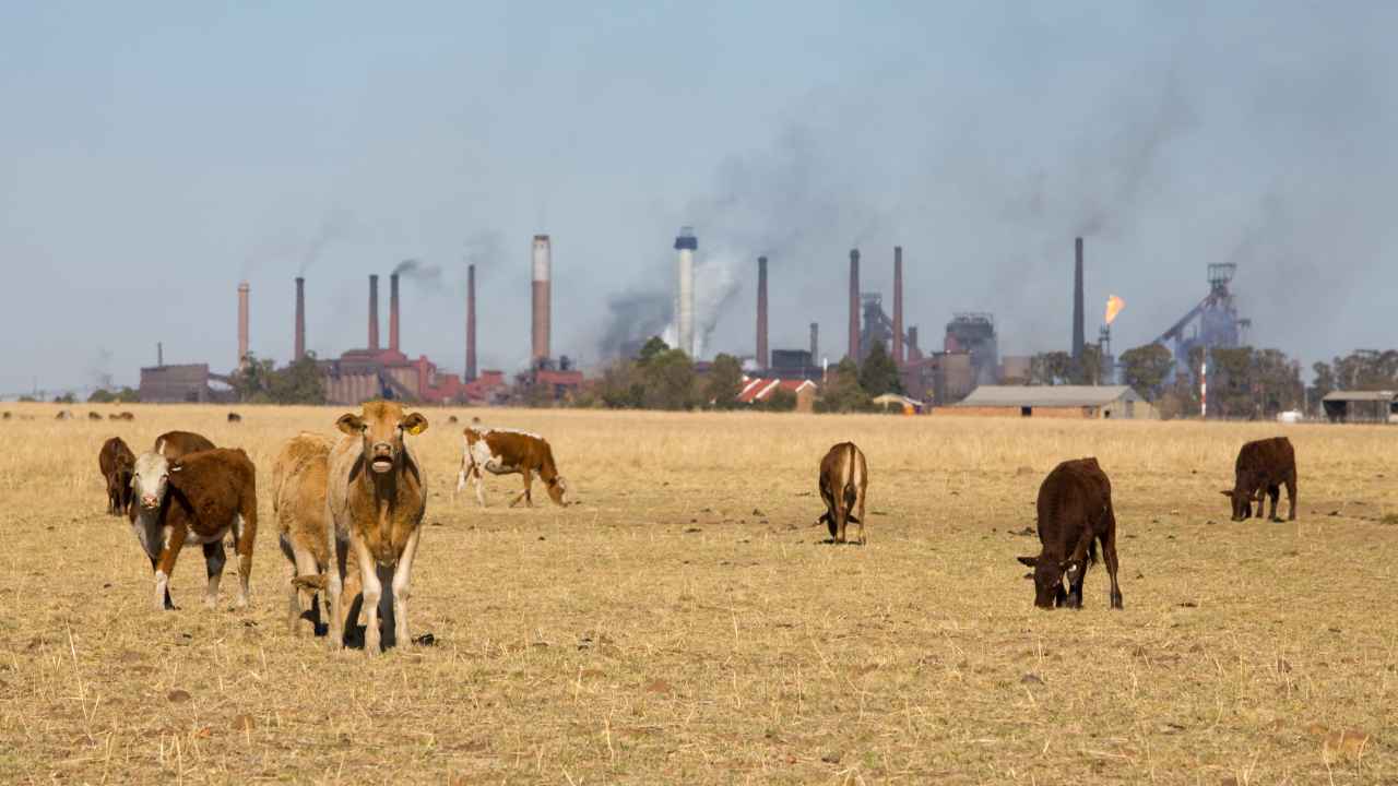 Five-year period ending 2019 set to be hottest on record, a damning UN report claims Five-year period ending 2019 set to be hottest on record, a damning UN report claims
