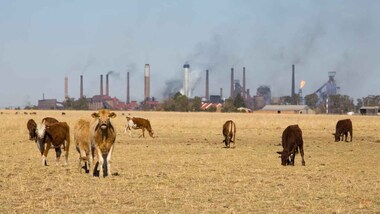 Reducing methane is crucial for protecting climate, health yet emissions are rising: UN report