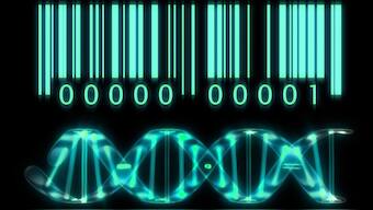 Scientists track down cancer immunity genes with new barcoding technology