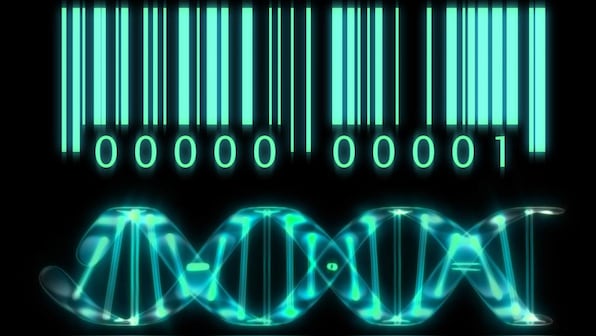 Scientists track down cancer immunity genes with new barcoding technology