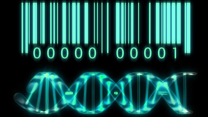 Scientists track down cancer immunity genes with new barcoding technology