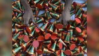SC order on firecrackers proof of state machinery's failure to implement existing rules; green governance exists only on paper