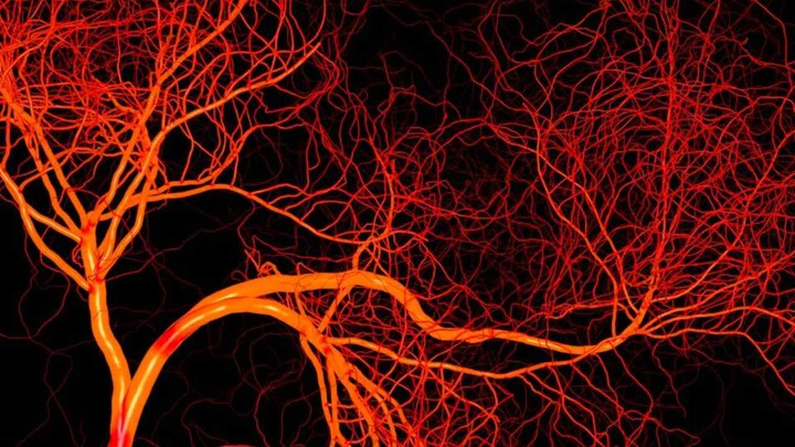 Researchers design nano tool for new way of mining blood samples for cancer test