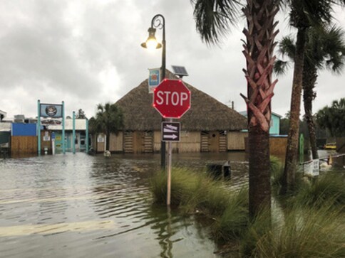 Hurricane Michael slams into Florida with terrifying winds of 155 mph ...