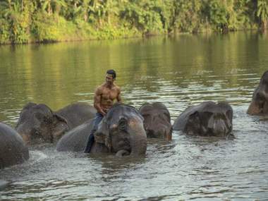 Vidyut Jammwal on working with Hollywood director Chuck Russell: Hope Junglee is 'the' film for me Vidyut Jammwal on working with Hollywood director Chuck Russell: Hope Junglee is 'the' film for me