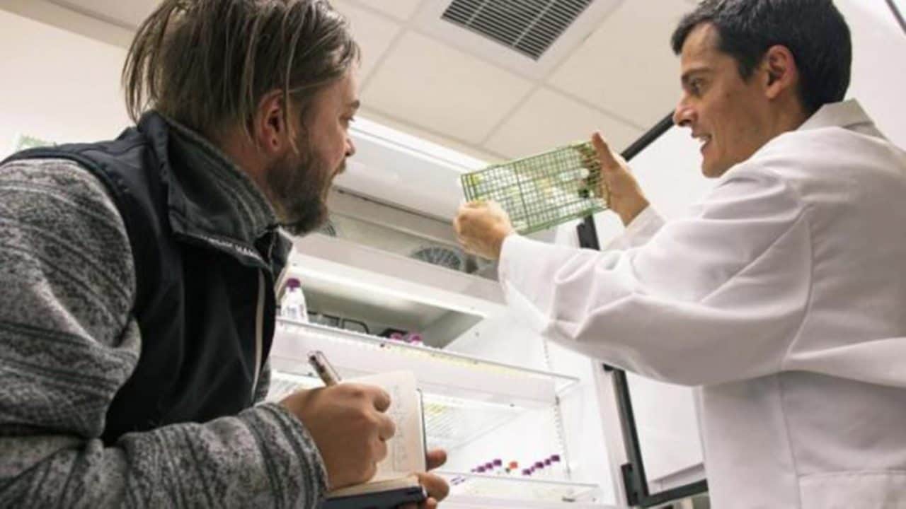 Science lab partners with artist to improve understanding about marine viruses