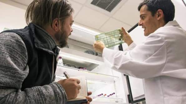 Science lab partners with artist to improve understanding about marine viruses