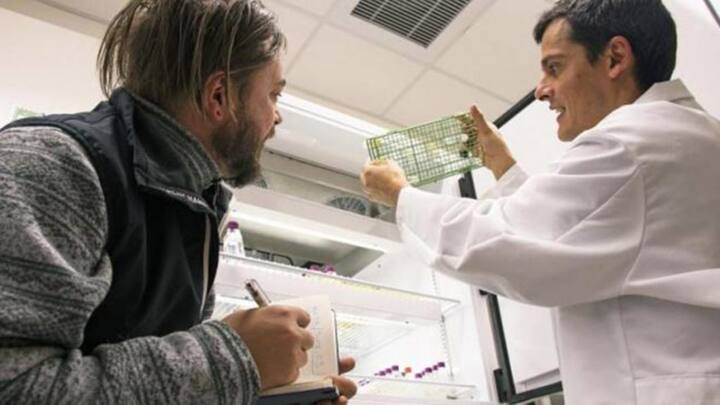 Science lab partners with artist to improve understanding about marine viruses