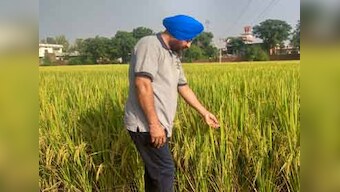 Stubble burning: Neither subsidy nor penalty can stop debt-ridden farmers of Punjab from  torching straw