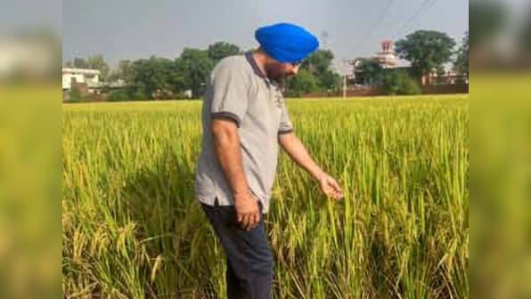 Stubble burning: Neither subsidy nor penalty can stop debt-ridden farmers of Punjab from  torching straw